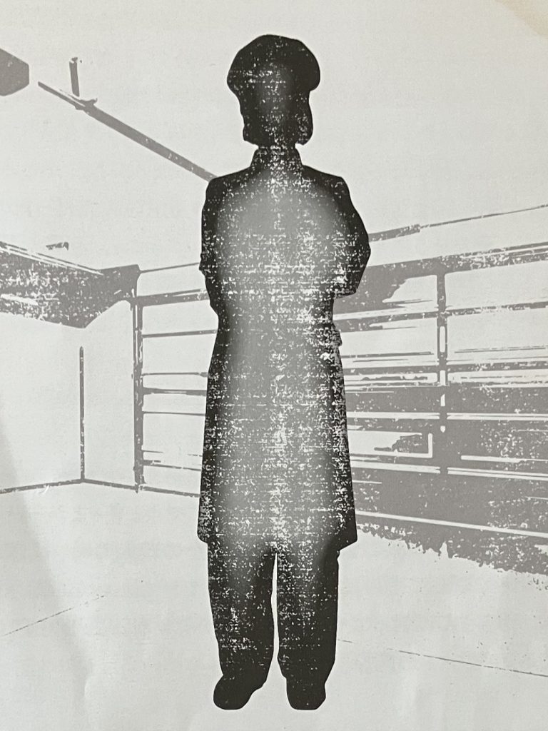 【マダミスレビュー】マーダーミステリー・オブ・ザ・デッド0｜登場人物・評価・感想・ルール・ネタバレなし